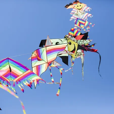 Residenza Turistica Alberghiera Blue Marine 公寓式酒店 3*