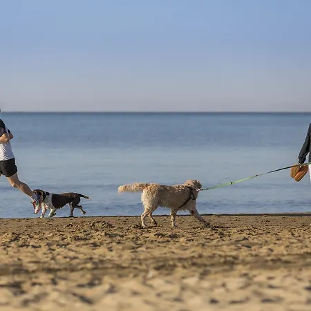 Residenza Turistica Alberghiera Blue Marine