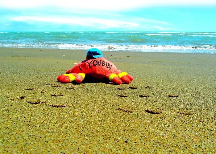 Residenza Turistica Alberghiera Blue Marine 3*